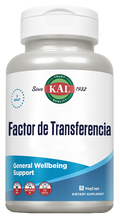 FACTOR DE TRANSFERENCIA - 60 VEGCAPS
