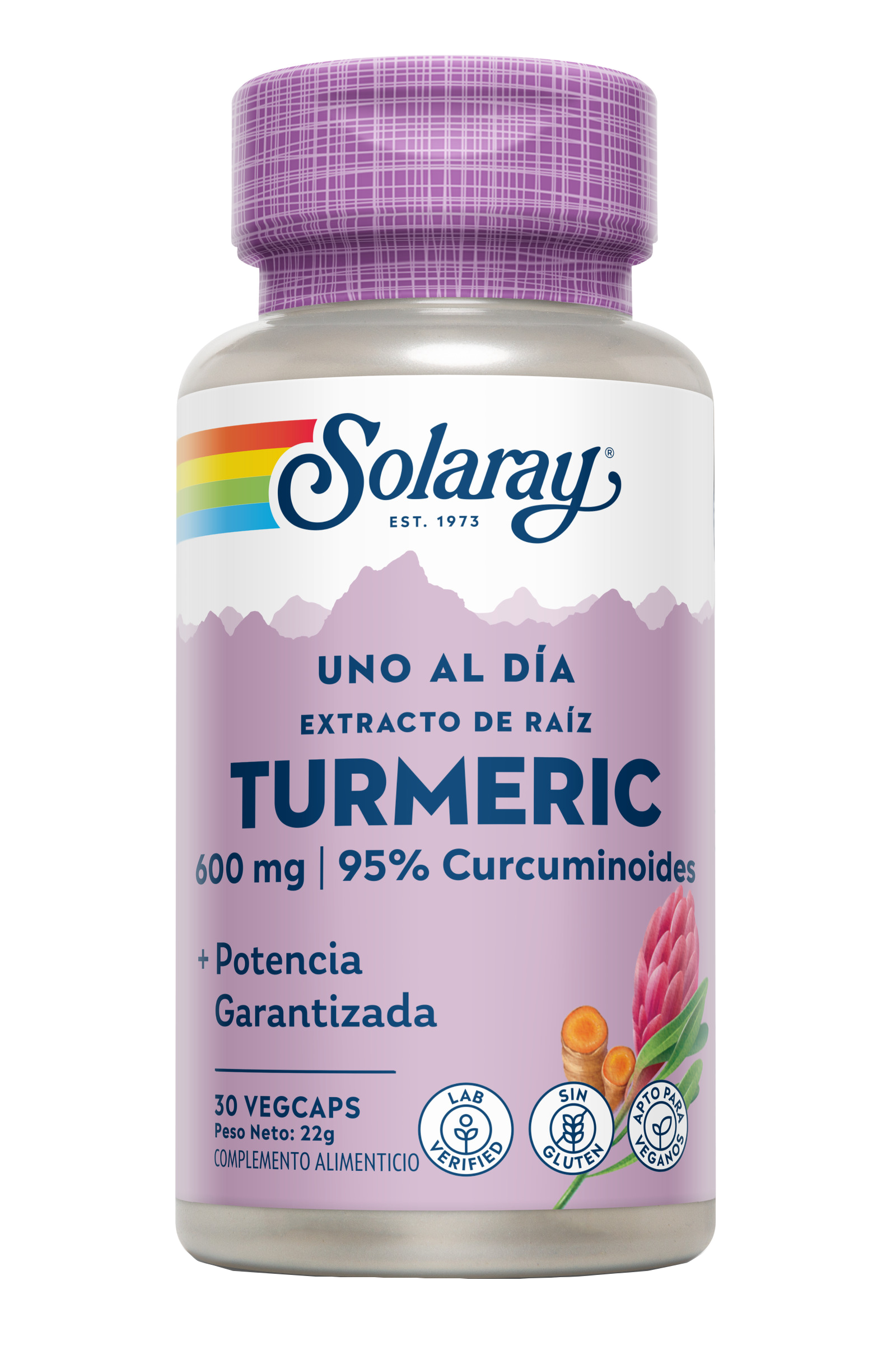 TURMERIC ONE DAILY - 30 VEGCAPS